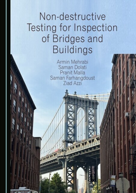 Non-destructive Testing for Inspection of Bridges and Buildings main product photo
