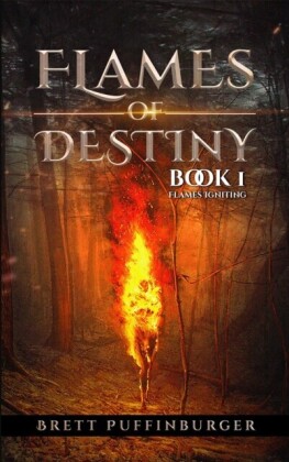 Flames of Destiny Book 1: Flames Igniting