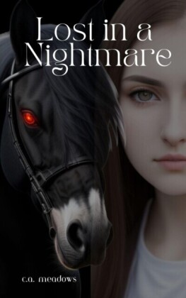 Lost in a Nightmare