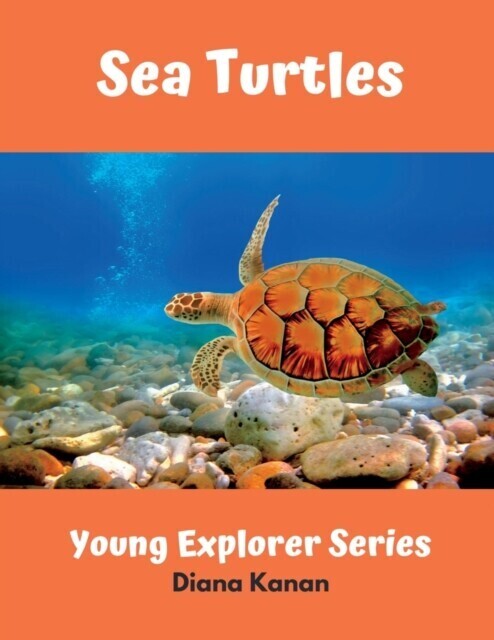 Sea Turtles main product photo