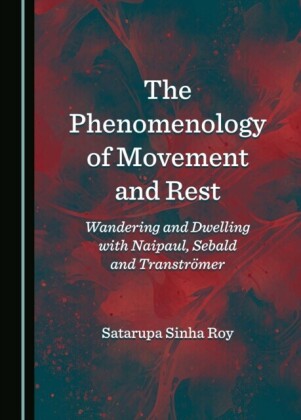 Phenomenology of Movement and Rest