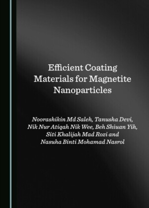 Efficient Coating Materials for Magnetite Nanoparticles