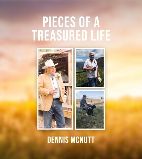 Pieces Of A Treasured Life main product photo