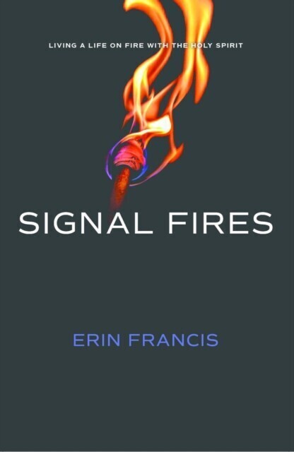 Signal Fires main product photo