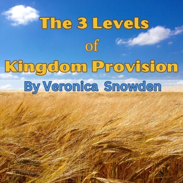 3 Levels of Kingdom Provision main product photo