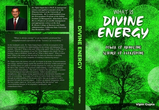 What Is Divine Energy main product photo
