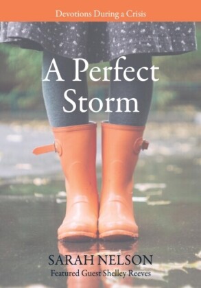 Perfect Storm