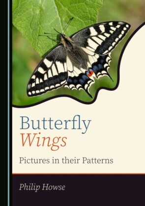 Butterfly Wings