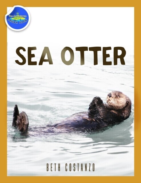 Sea Otter ages 2-4 main product photo
