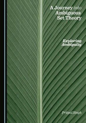 Journey into Ambiguous Set Theory