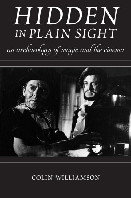Hidden in Plain Sight main product photo