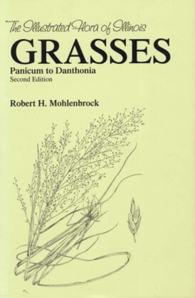 Grasses