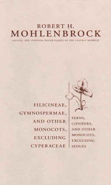 Filicineae, Gymnospermae and Other Monocots Excluding Cyperaceae main product photo