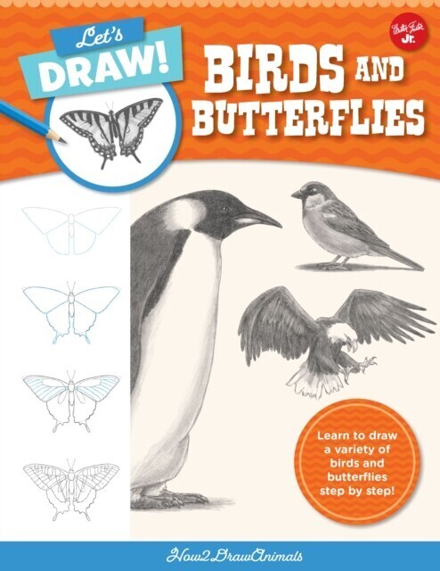 Let's Draw Birds & Butterflies main product photo