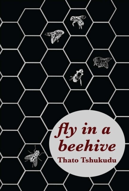 fly in a beehive main product photo