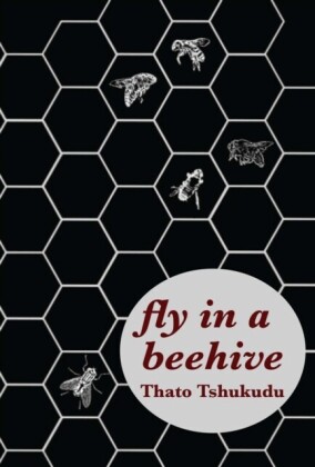 fly in a beehive