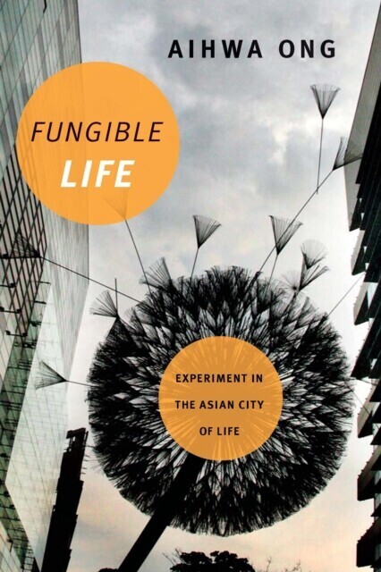 Fungible Life main product photo