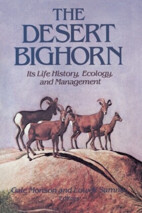 Desert Bighorn