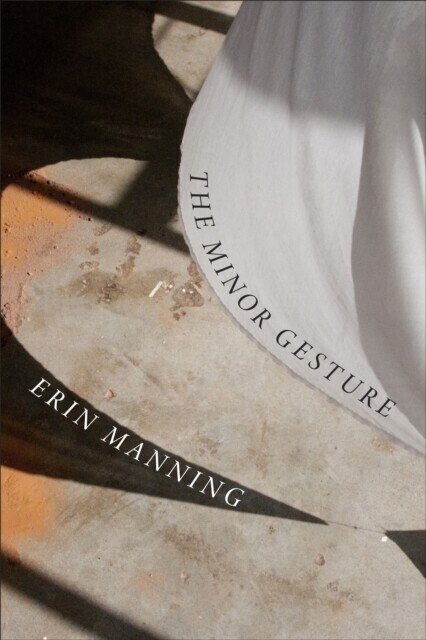 Minor Gesture main product photo