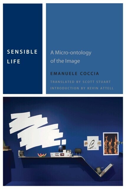 Sensible Life main product photo