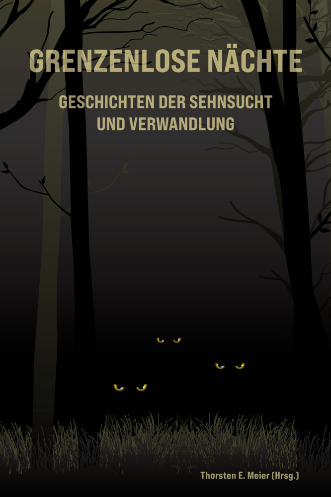 Grenzenlose Nächte - Geschichten der Sehnsucht und Verwandlung main product photo