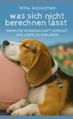 Was sich nicht berechnen lässt