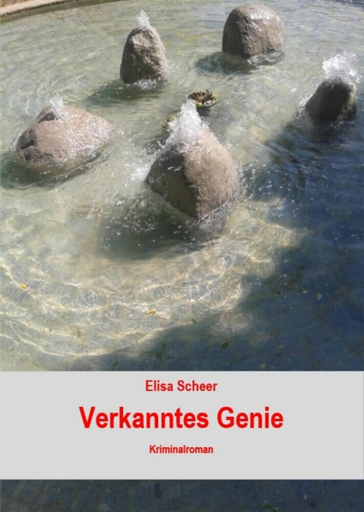 Verkanntes Genie main product photo