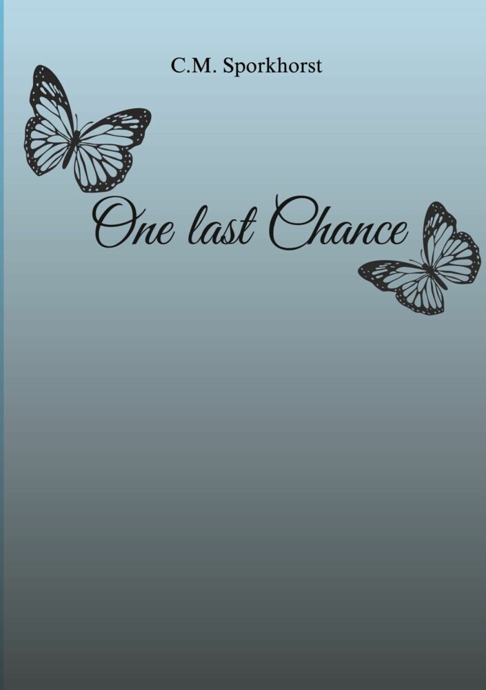 One last Chance main product photo
