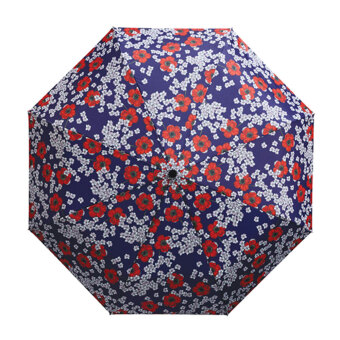 Easy Umbrella Anemone
