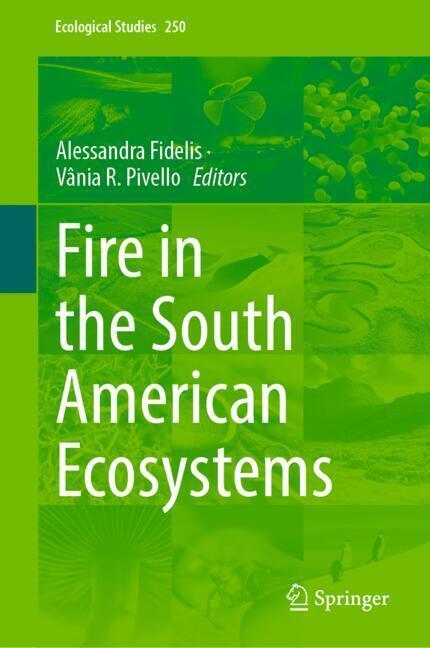 Fire in the South American Ecosystems main product photo