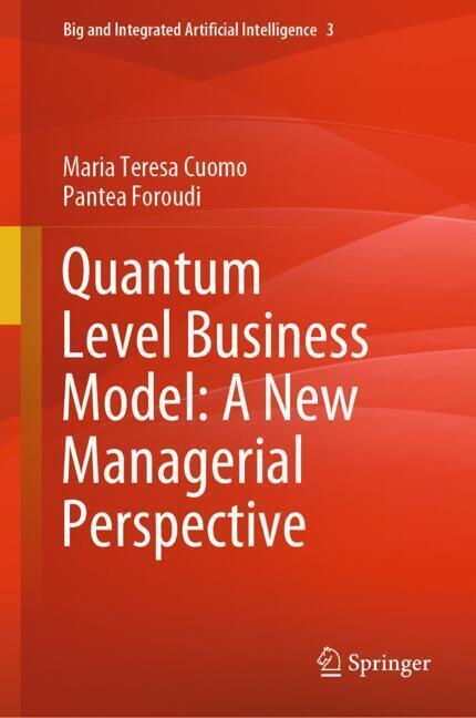 Quantum Level Business Model: A New Managerial Perspective main product photo