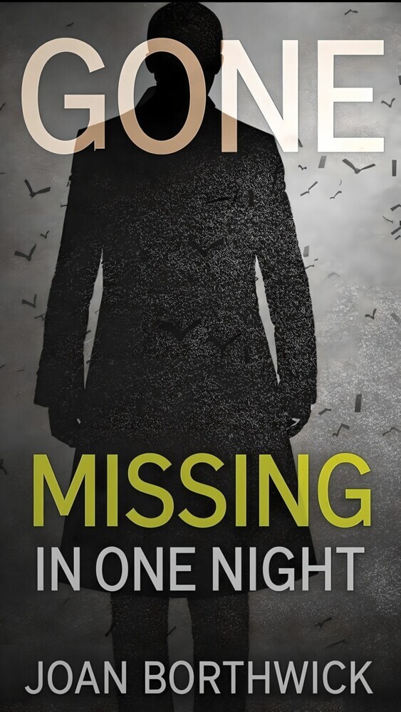 Gone Missing In One Night main product photo