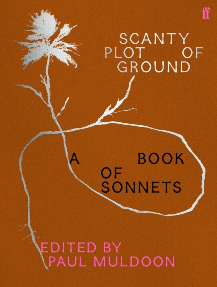 Scanty Plot of Ground main product photo