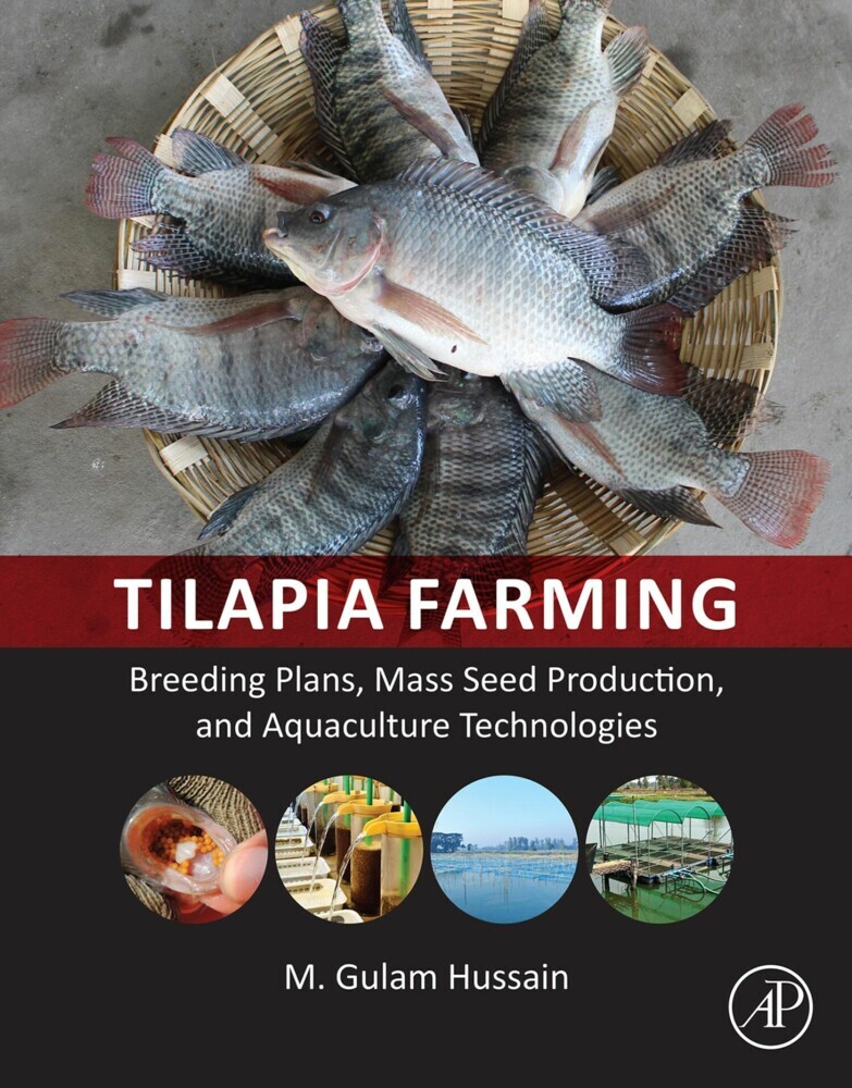 Tilapia Farming main product photo