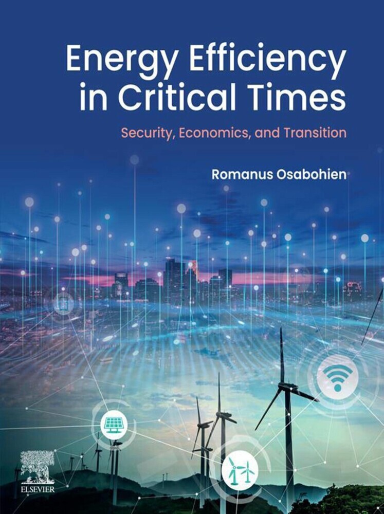 Energy Efficiency in Critical Times main product photo