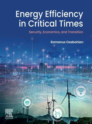 Energy Efficiency in Critical Times
