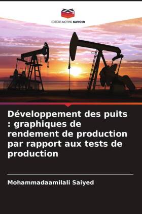 Développement des puits : graphiques de rendement de producti...