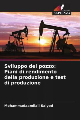 Sviluppo del pozzo: Piani di rendimento della produzione e tes...