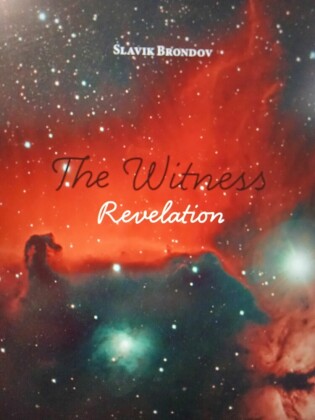 The Witness