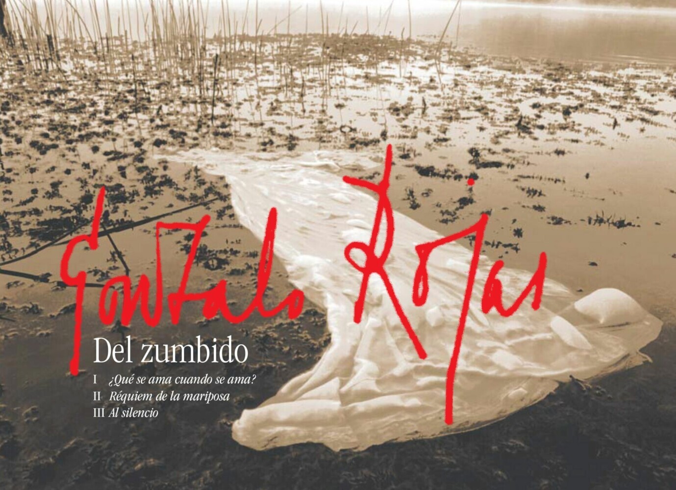 Del zumbido main product photo