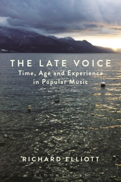 Late Voice main product photo