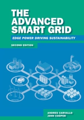 Advanced Smart Grid