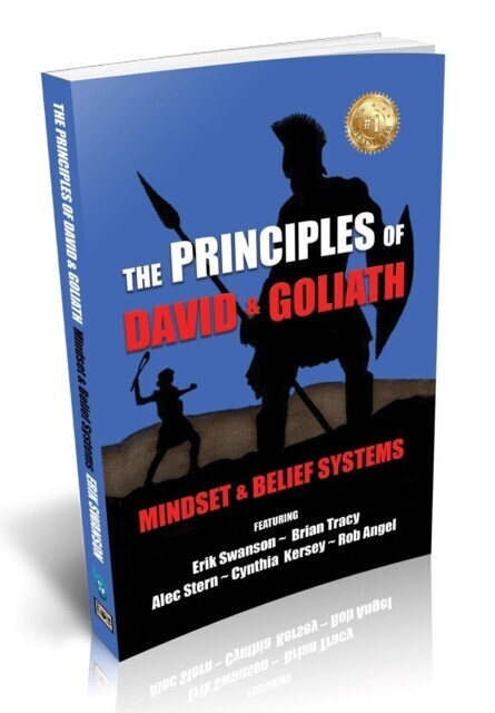 Principles of David and Goliath Volume 1 main product photo