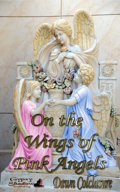 On the Wings of Pink Angels main product photo