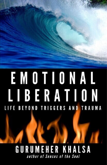 Emotional Liberation main product photo