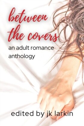 between the covers - an adult romance