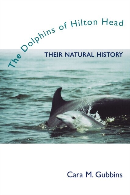 Dolphins of Hilton Head main product photo