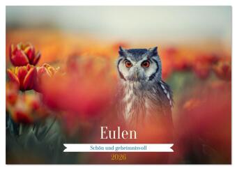 Eulen - schön und geheimnisvoll (Tischkalender 2026 DIN A5 qu...