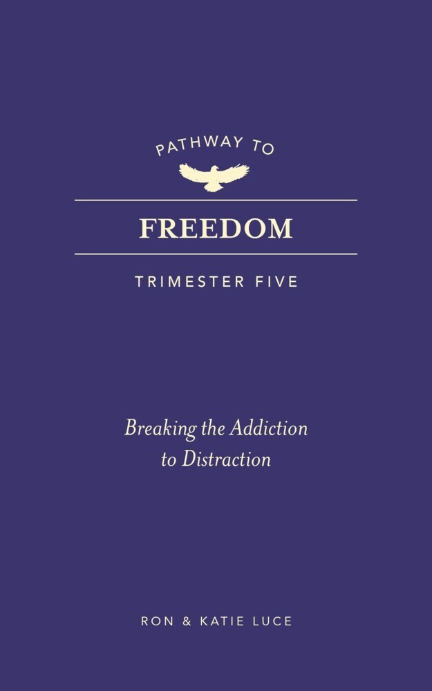 Pathway to Freedom (Trimester Five) main product photo