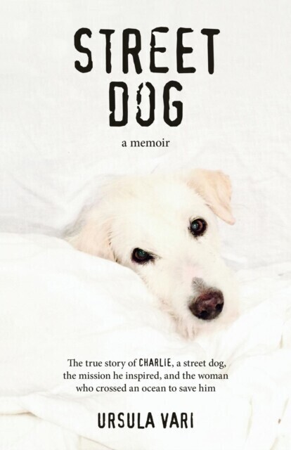 Street Dog main product photo